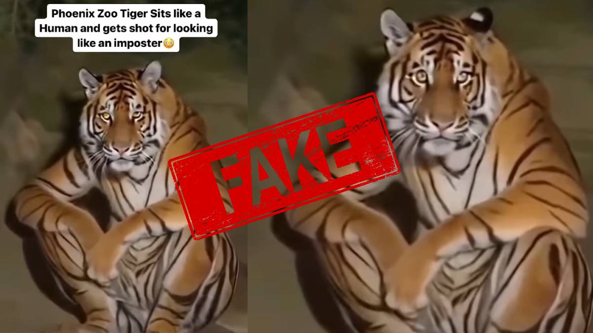 AI generated video of the tiger
